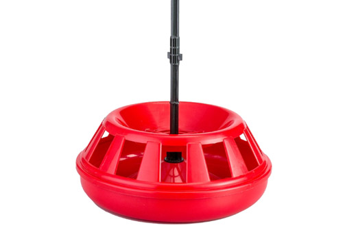 Jumbo Female Parent Feeder Manufacturers in Bangalore