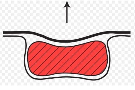 Thermoforming Vacuum Packing